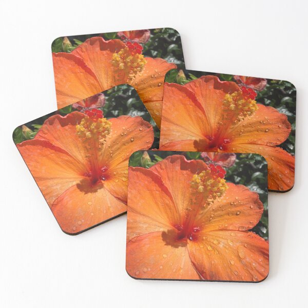 Item preview, Hibiscus designed and sold by Betsy Phillips.