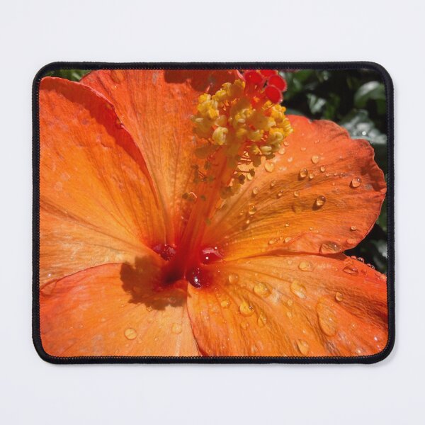 Item preview, Hibiscus designed and sold by Betsy Phillips.