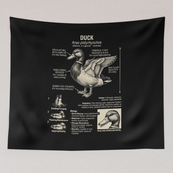 Item preview, Duck Scientific Anatomy Biology Animal Lover designed and sold by Kimberley King Art  King Art.