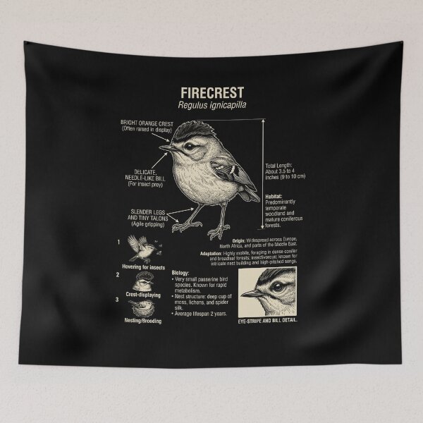 Item preview, Firecrest Scientific Anatomy Ornithology Animal Lover designed and sold by Kimberley King Art  King Art.
