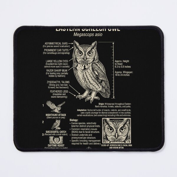 Item preview, Eastern Screech Owl Scientific Anatomy Ornithology Animal Lover designed and sold by Kimberley King Art King Art.