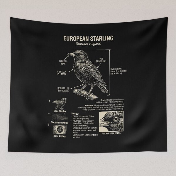 Item preview, European Starling Scientific Anatomy Ornithology Animal Lover designed and sold by Kimberley King Art  King Art.
