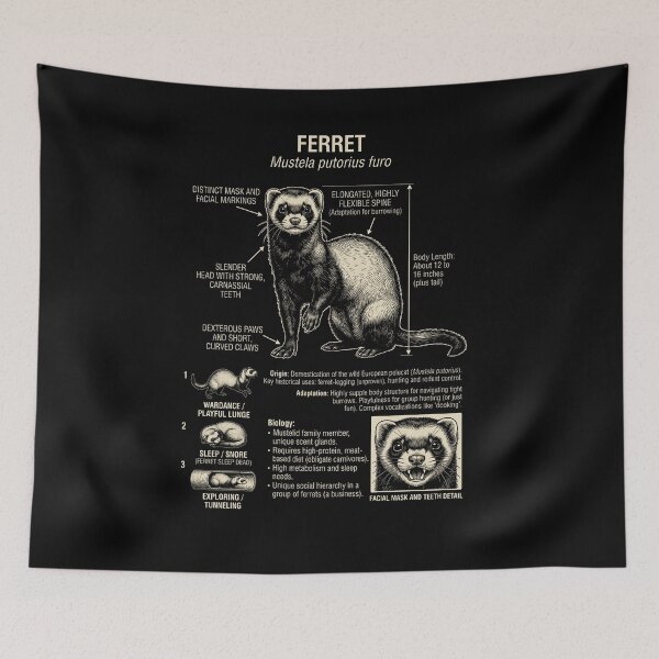 Item preview, Ferret Scientific Anatomy Biology Animal Lover designed and sold by Kimberley King Art  King Art.