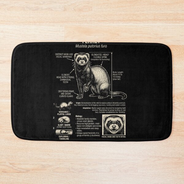 Item preview, Ferret Scientific Anatomy Biology Animal Lover designed and sold by Kimberley King Art  King Art.