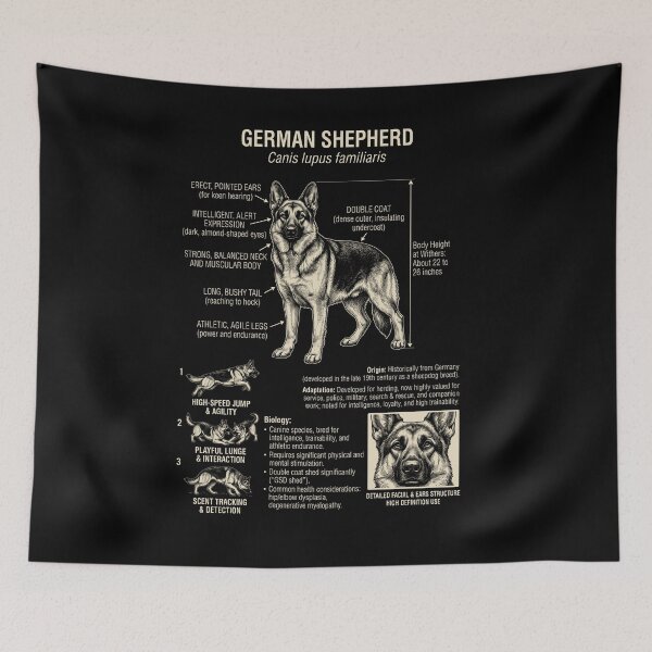 Item preview, German Shepherd Scientific Anatomy Biology Dog Lover designed and sold by Kimberley King Art  King Art.