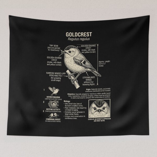 Item preview, Goldcrest Scientific Anatomy Ornithology Animal Lover designed and sold by Kimberley King Art  King Art.