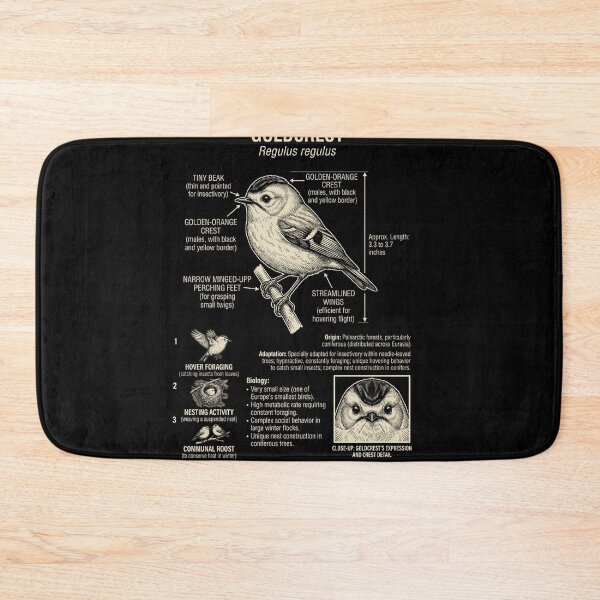 Item preview, Goldcrest Scientific Anatomy Ornithology Animal Lover designed and sold by Kimberley King Art  King Art.