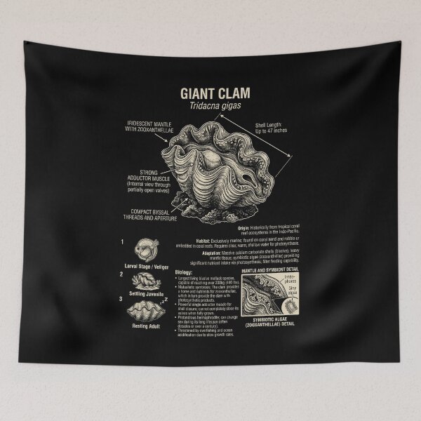 Item preview, Giant Clam Scientific Anatomy Biology Animal Lover designed and sold by Kimberley King Art  King Art.