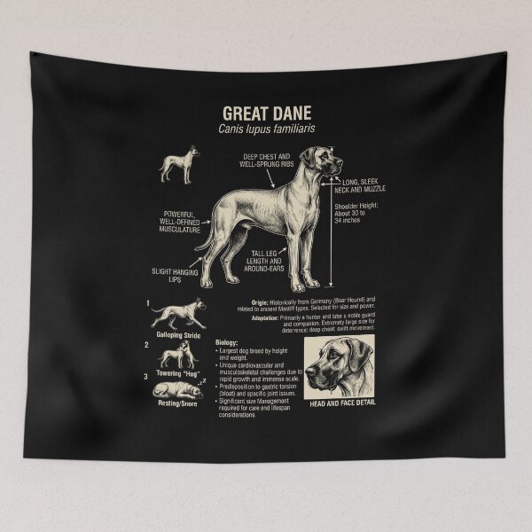 Item preview, Great Dane Scientific Anatomy Biology Dog Lover designed and sold by Kimberley King Art  King Art.