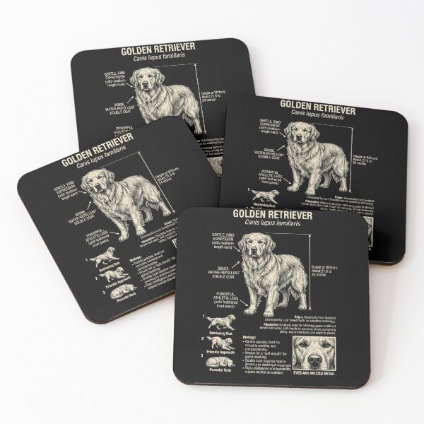 Item preview, Golden Retriever Scientific Anatomy Biology Dog Lover designed and sold by Kimberley King Art  King Art.