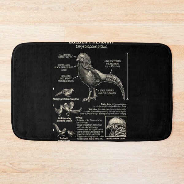 Aperçu de l'œuvre Faisan doré - Anatomie scientifique - Ornithologie - Passionné d'animaux créée et vendue par Kimberley King Art King Art.