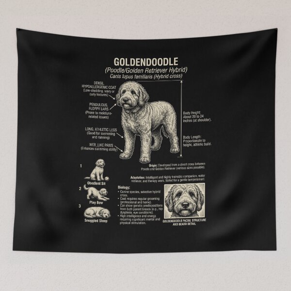 Item preview, Goldendoodle Scientific Anatomy Biology Dog Lover designed and sold by Kimberley King Art  King Art.