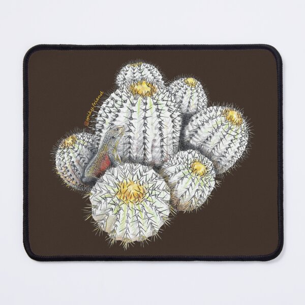 Item preview, Atacama Desert  designed and sold by spiky-friend.