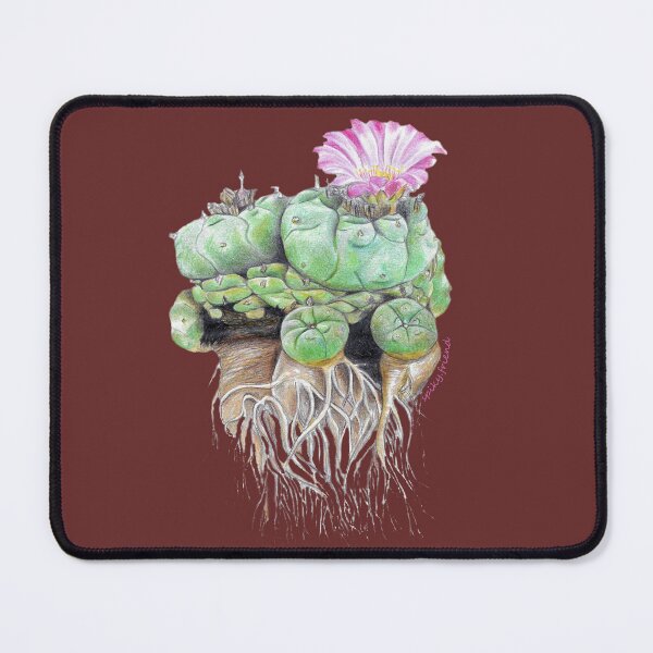 Item preview, Peyote: Lophophora williamsii designed and sold by spiky-friend.