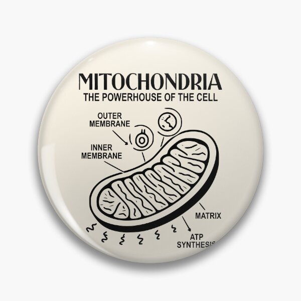 Item preview, Mitochondria Vintage Science Retro Biology Cell Diagram  designed and sold by Colorfulman.