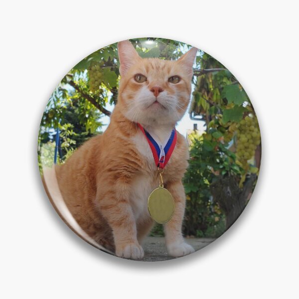 Item preview, Proud Orange Cat with Gold Medal – Cat Photography designed and sold by MB-CatPrints.