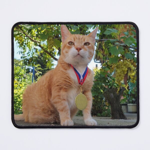 Item preview, Proud Orange Cat with Gold Medal – Cat Photography designed and sold by MB-CatPrints.