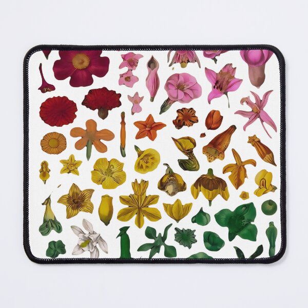 Item preview, Flower gradient chart - Floral botanical spectrum designed and sold by Luv4tete.