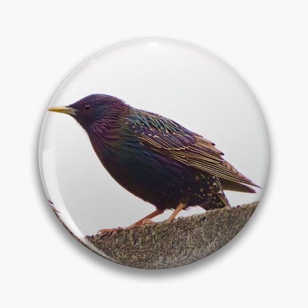 Item preview, High Key Starlings designed and sold by Geordie Jason.