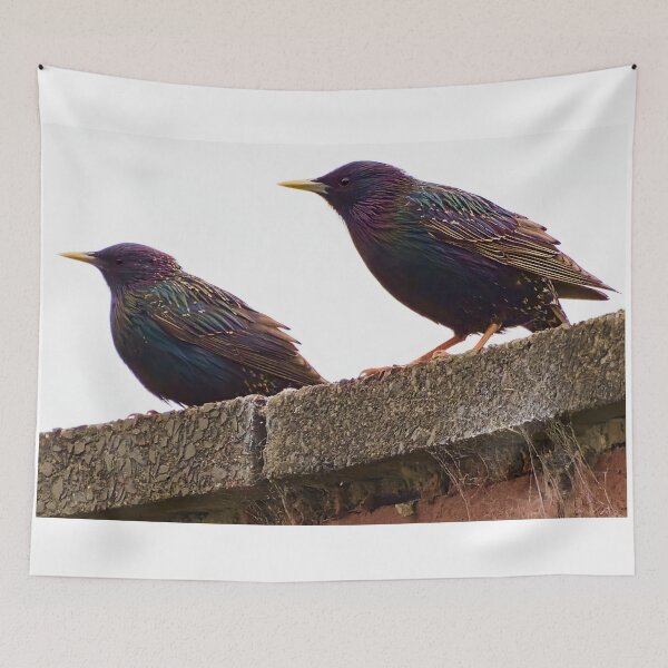 Item preview, High Key Starlings designed and sold by Geordie Jason.
