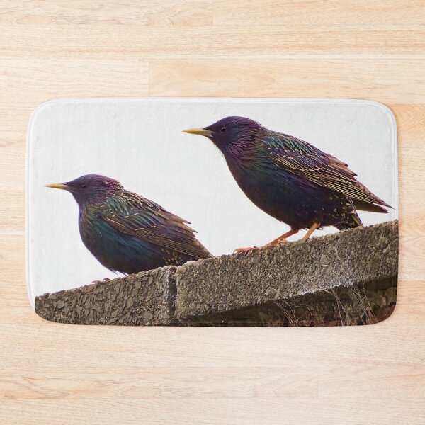 Item preview, High Key Starlings designed and sold by Geordie Jason.