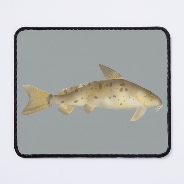 Item preview, Armado designed and sold by fishfolkart.