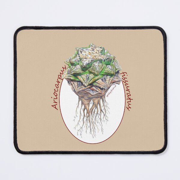 Item preview, Design Ariocarpus fissuratus designed and sold by spiky-friend.