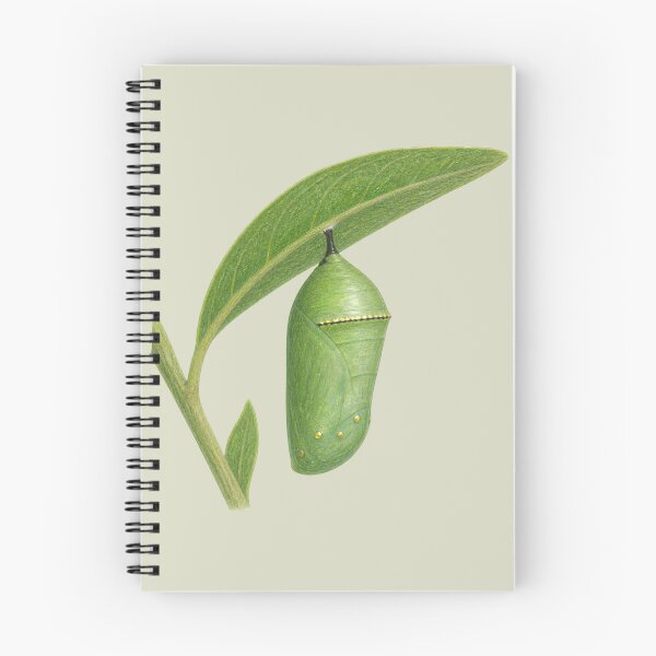 Item preview, Monarch Chrysalis on Milkweed Leaf designed and sold by BloomStudio1.
