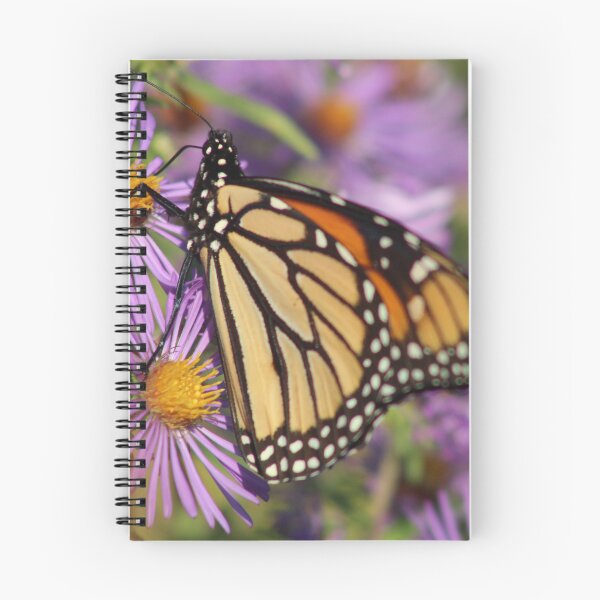 Item preview, Monarch Butterfly designed and sold by acb-photography.