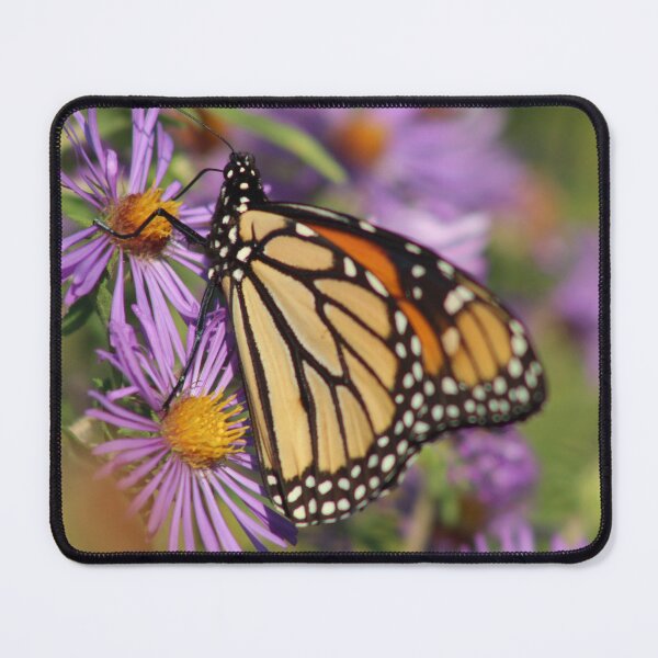Item preview, Monarch Butterfly designed and sold by acb-photography.