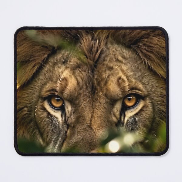 Item preview, Lion king designed and sold by indbubble2020.