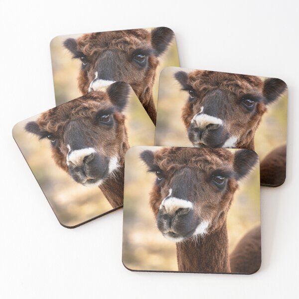 Item preview, Curious Alpaca Portrait designed and sold by Kimberly Palmer.