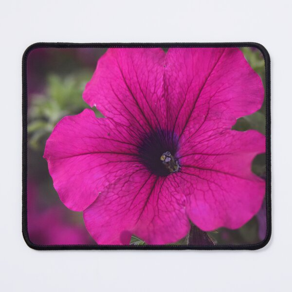 Item preview, Vibrant Pink Petunia Flower Art, Botanical Floral Aesthetic designed and sold by Violafleurviolett.