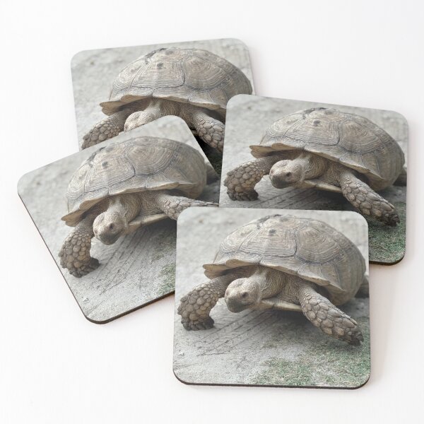 Item preview, Sulcata Giant Tortoise Turtle Walking  designed and sold by BeachBumFamily.