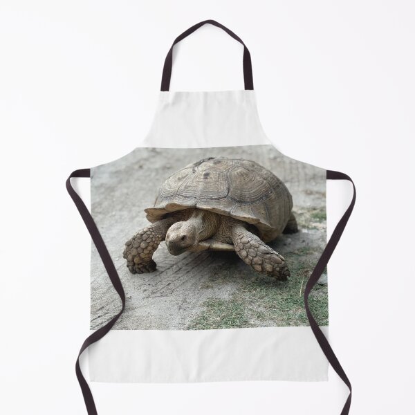 Item preview, Sulcata Giant Tortoise Turtle Walking designed and sold by BeachBumFamily.