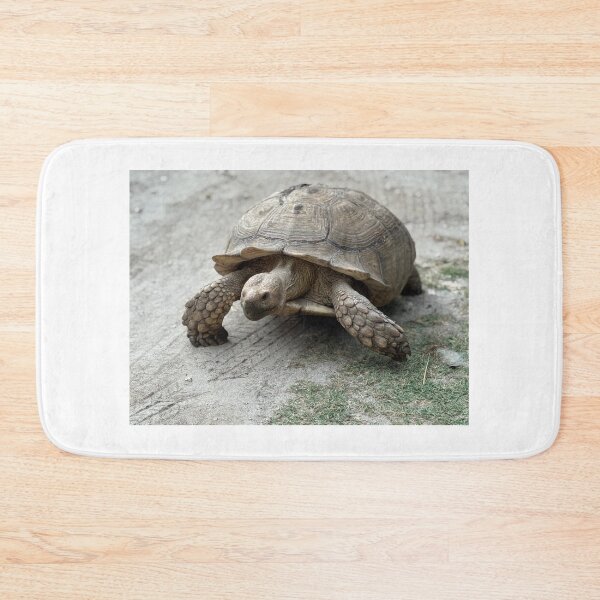 Item preview, Sulcata Giant Tortoise Turtle Walking  designed and sold by BeachBumFamily.