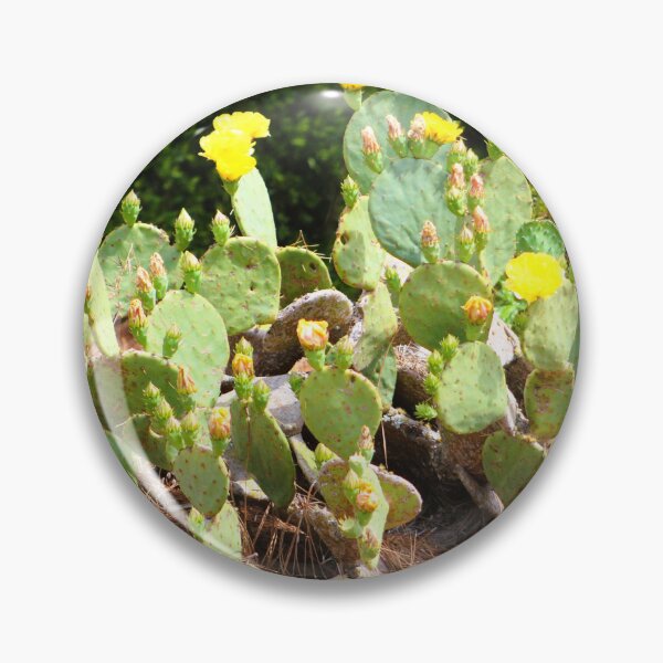 Item preview, Eastern Prickly Pear Cactus in Bloom designed and sold by Cynthia48.