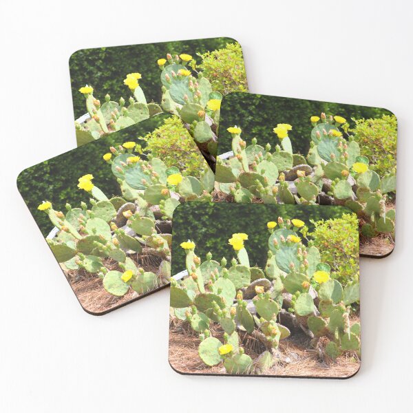 Item preview, Eastern Prickly Pear Cactus in Bloom designed and sold by Cynthia48.