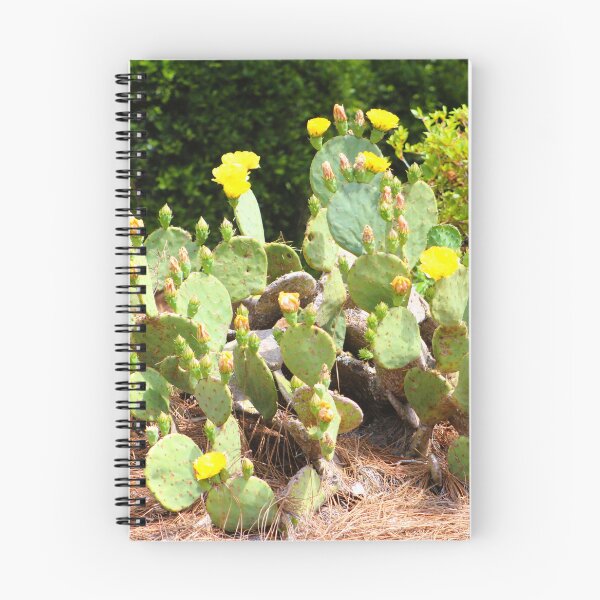 Item preview, Eastern Prickly Pear Cactus in Bloom designed and sold by Cynthia48.
