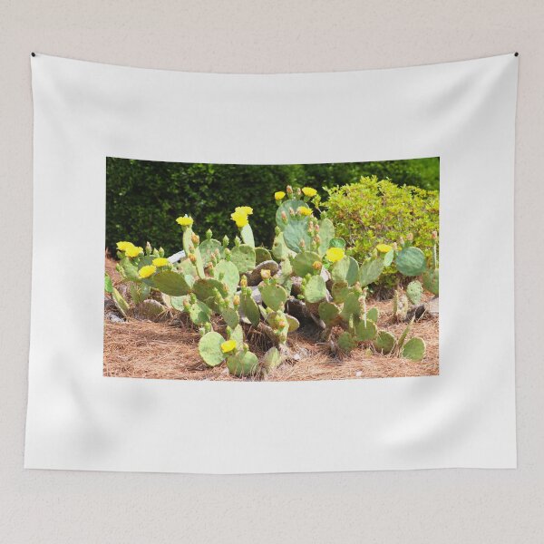 Item preview, Eastern Prickly Pear Cactus in Bloom designed and sold by Cynthia48.