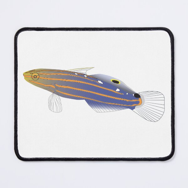 Item preview, Old Glory Goby designed and sold by Mark Rosenstein.