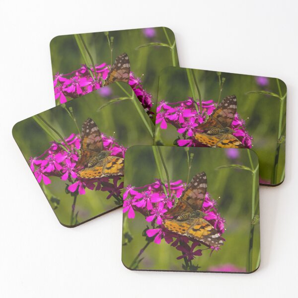 Item preview, Painted Lady Butterfly (Vanessa cardui) on Red Campion (Silene dioica) in Summer Wildflower Meadow designed and sold by Isar1.