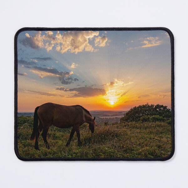 Item preview, Sunset Grazing designed and sold by HazyApplePhoto.