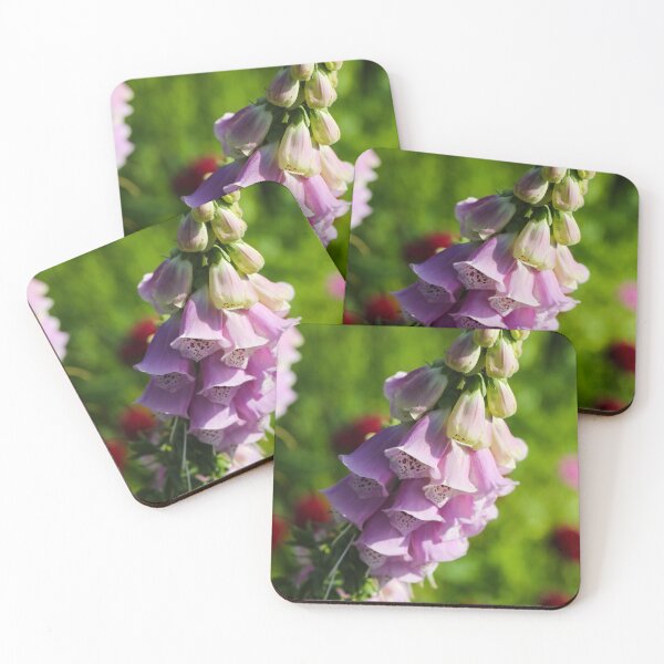 Item preview, Common Foxglove (Digitalis purpurea) Blooming in a Summer Wildflower Meadow designed and sold by Isar1.