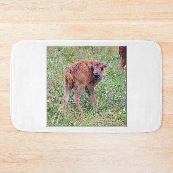 Item preview, Newborn Bison Calf in Open Meadow designed and sold by AMacGPhilly.