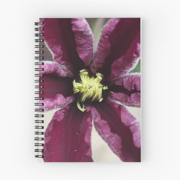 Item preview, Elegant Purple Clematis Bloom Catching Summer Sun designed and sold by vtspatial.