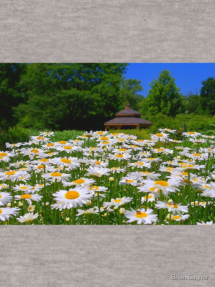 Pushing Up Daisies by bgaynor