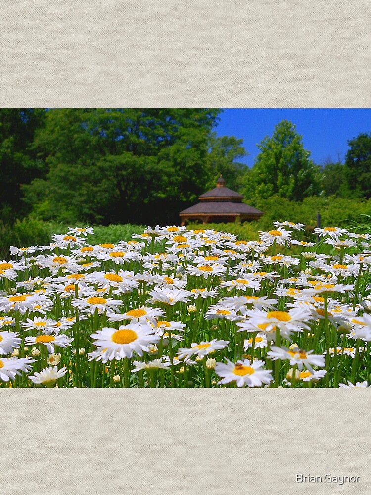 Pushing Up Daisies by bgaynor