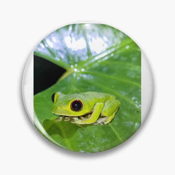 Item preview, BRIGHT GREEN TREE FROG ⋆｡?°⭒˚｡⋆ designed and sold by couldawentpro.