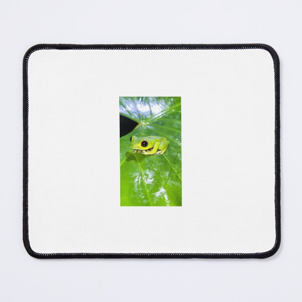 Item preview, BRIGHT GREEN TREE FROG ⋆｡?°⭒˚｡⋆ designed and sold by couldawentpro.